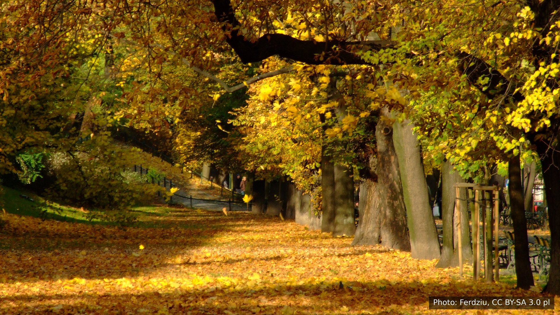 Golden autumn in Kraków’s Planty Park
