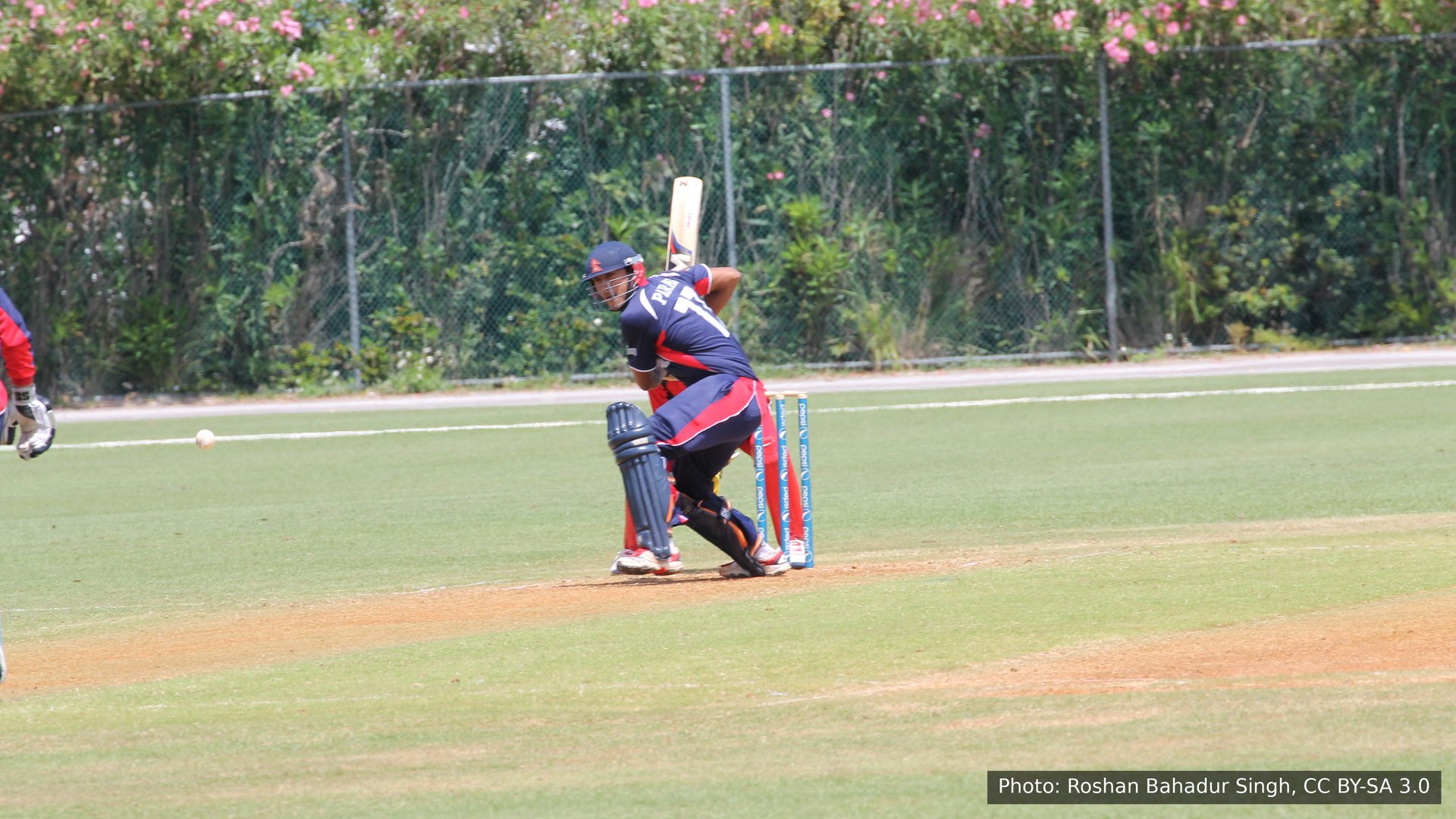 Paras Khadka batting for Nepal