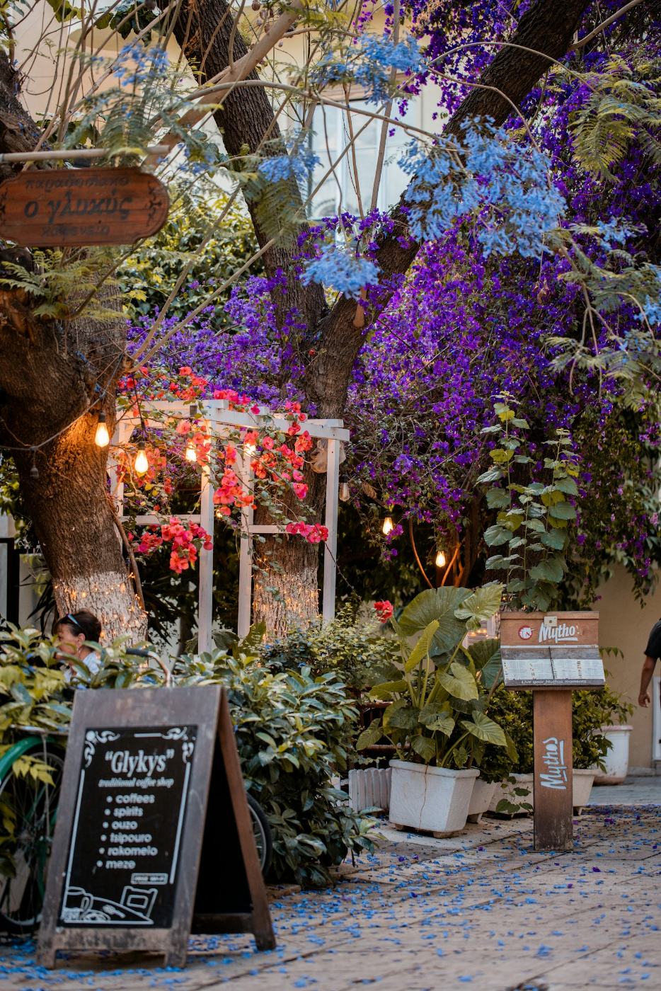 A café entrance under a cascade of bougainvillea