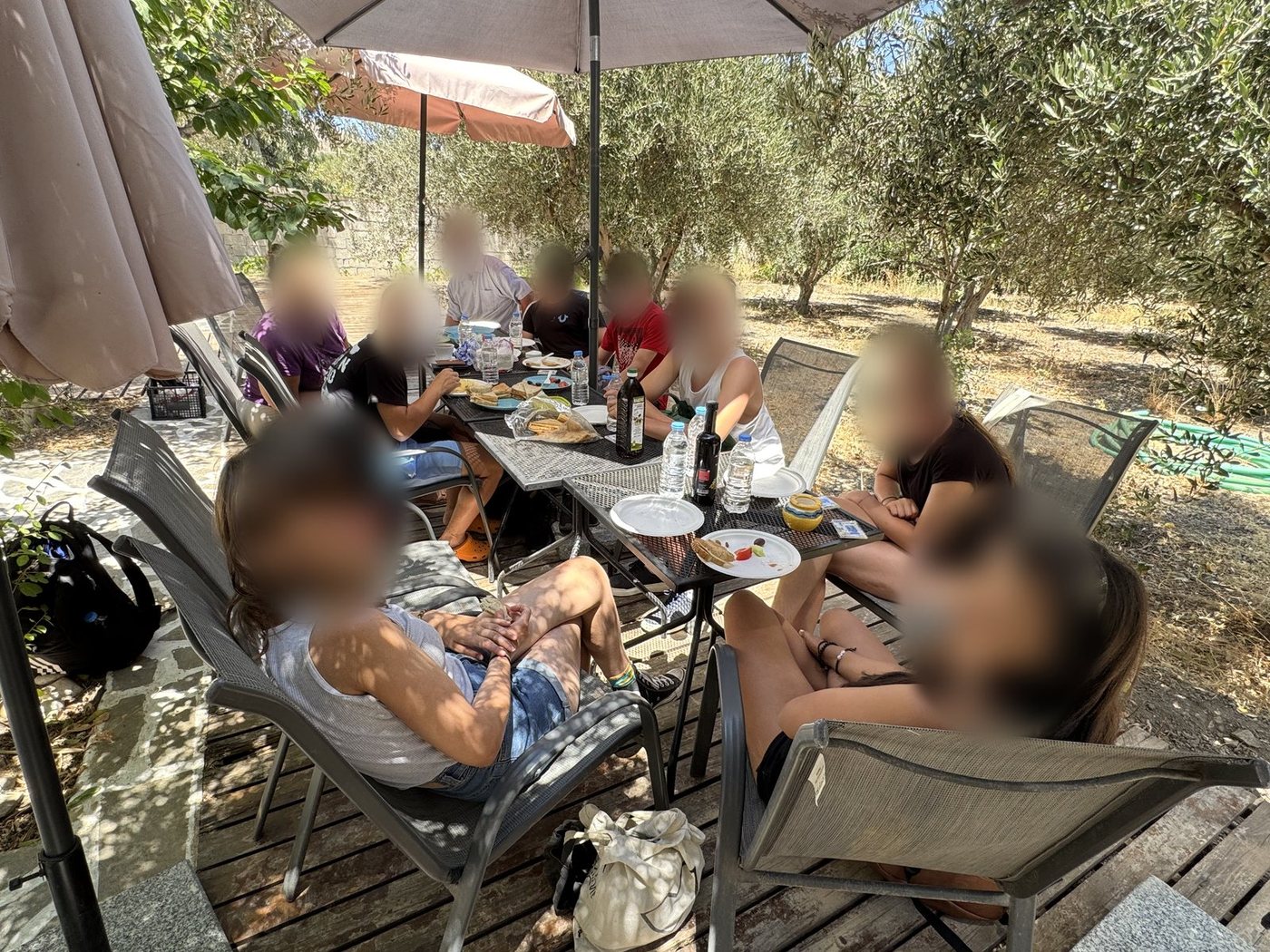 Long lunch in the shade of the olive trees, Naxos